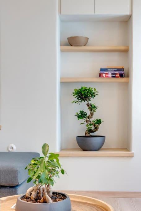 Nomade vibrant living loft Lejlighed Ermoupoli Eksteriør billede